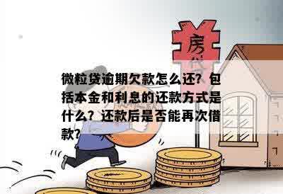 微粒贷逾期还款最新政策：本金、罚息与期还款全面解析