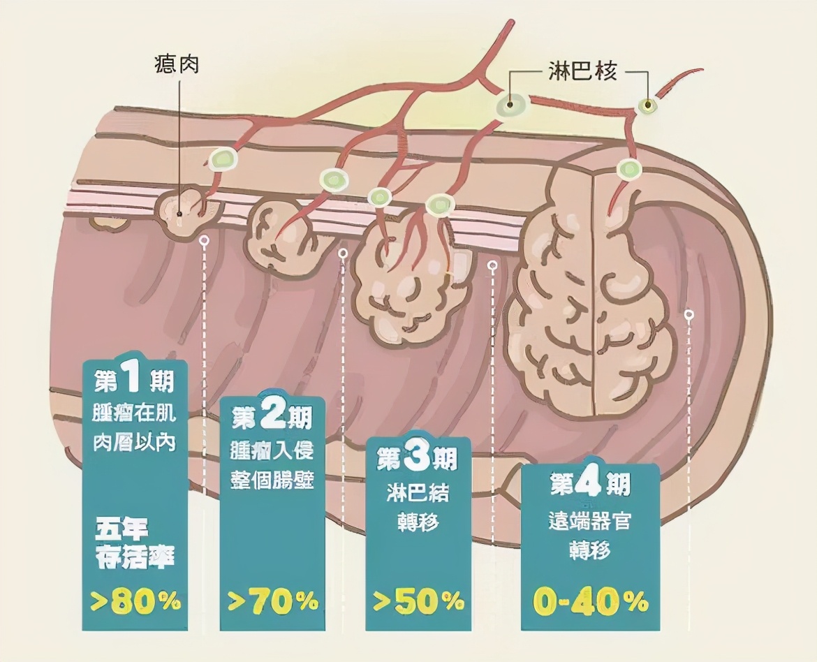 信用卡额度在分期后突然消失：原因、解决方法以及信用修复策略