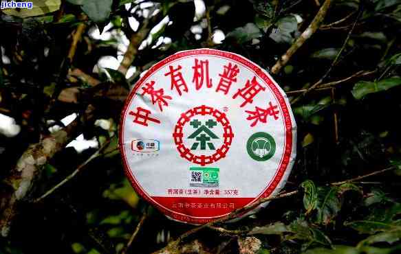 熟普洱茶有机