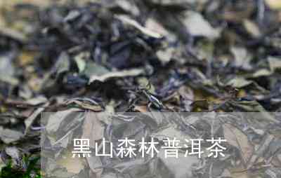 黑森村普洱茶