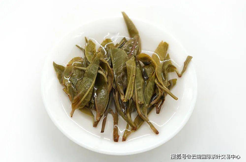 茶梗的妙用：解析普洱茶中茶梗的多重好处