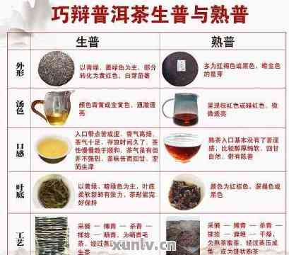 与万象普洱茶相似的其他茶叶品种：探索其他类似普洱茶的茶类