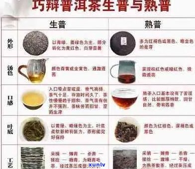 普洱茶的种类、功效、泡法和口感——如何选择和品尝一杯完美的普洱茶？