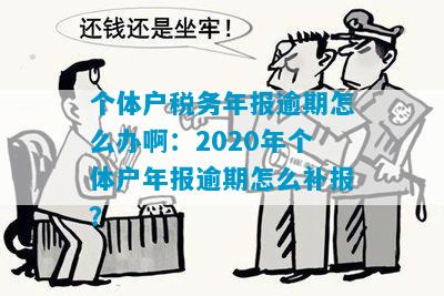 新个体户年报逾期补报的时间限制及相关处理方法全面解析