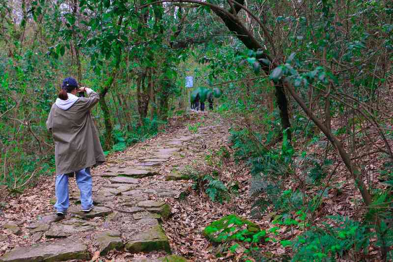 穿越神秘古道的山步之旅：探索道人山的路线