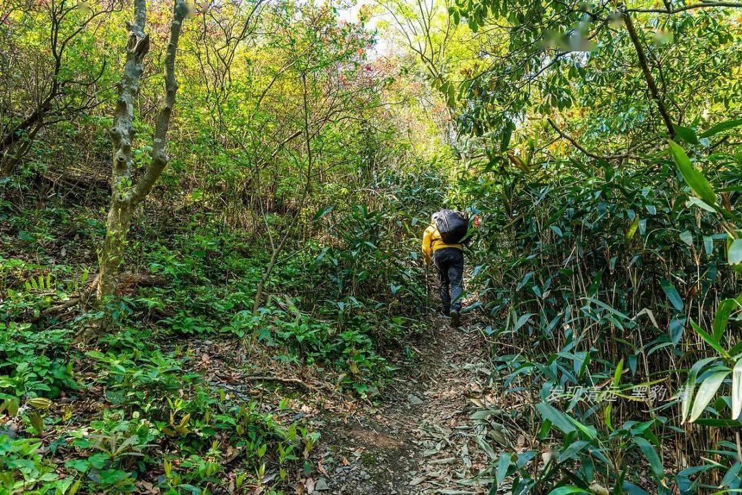 穿越神秘古道的山步之旅：探索道人山的路线