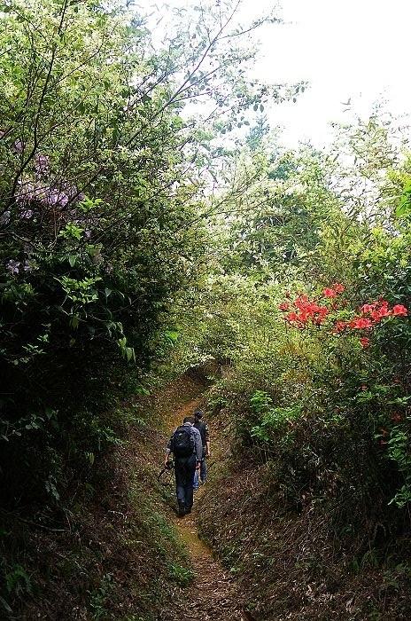 穿越神秘古道的山步之旅：探索道人山的路线