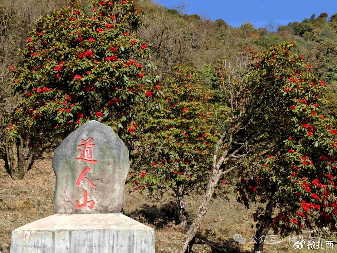 道人山线路：步路线、地点与传说揭秘，能否开上去？