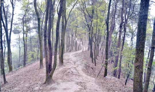 道人山线路：步路线、地点与传说揭秘，能否开上去？