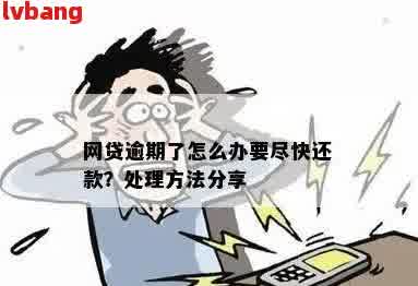 网签贷逾期后持续扣款的原因是什么？请帮忙解答。