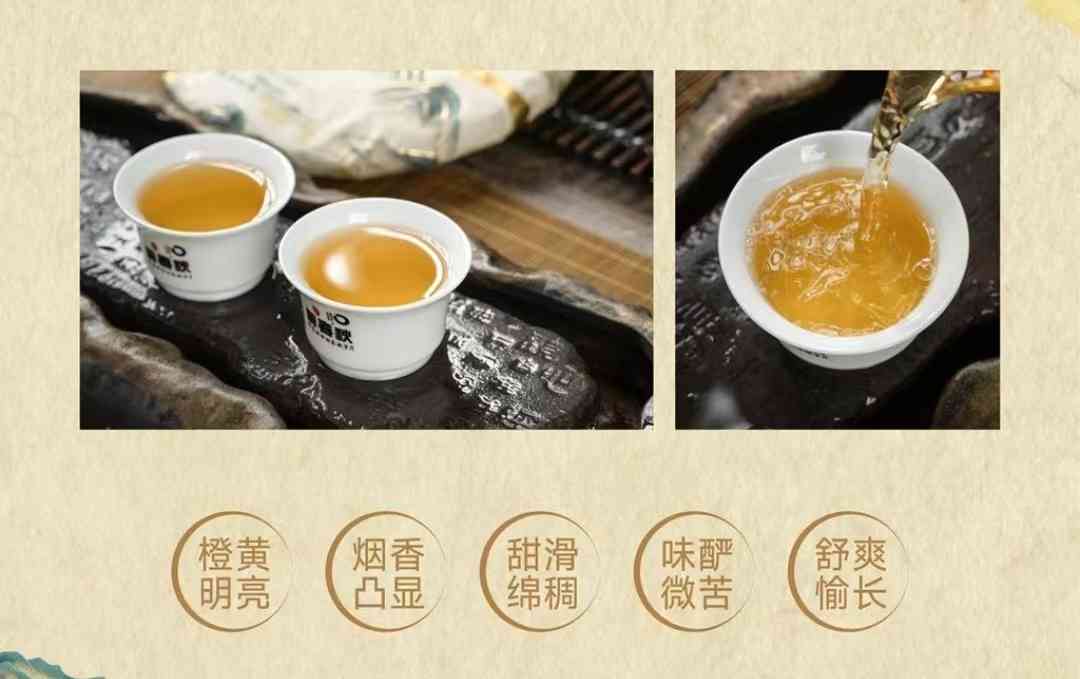 风少专普洱茶：品质与文化的完美结合