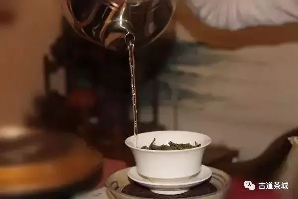 普洱茶头闷泡