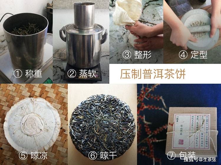 普洱茶如何防止霉变及其科学原理解析