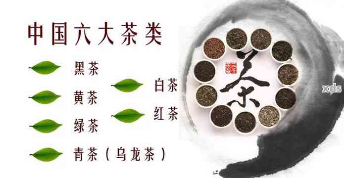 六大普洱茶分别是-六大普洱茶分别是什么茶