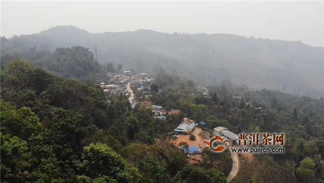 普洱茶六大名山分别是哪六个：探究云南古六大茶山的魅力与特色