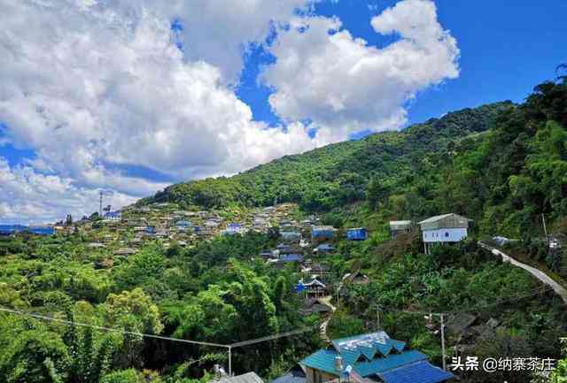 普洱茶山头排名一览表：前十名的普洱茶山，你不可不知