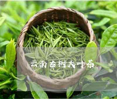 王珮瑜精选普洱茶：古树茶、陈年老茶、云南大叶种茶