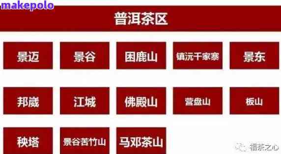 天坨普洱茶：品种特点、品鉴方法和购买指南，一次全面了解