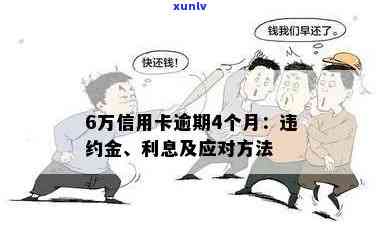 5万信用卡逾期一个月利息计算与标准：合理数额是多少？