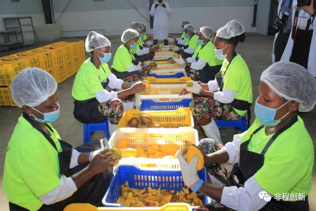 尼罗非食品：一站式食品解决方案与优质产品供应