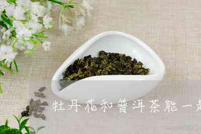 牡丹花与普洱茶：独特魅力组合的品鉴与功效解析