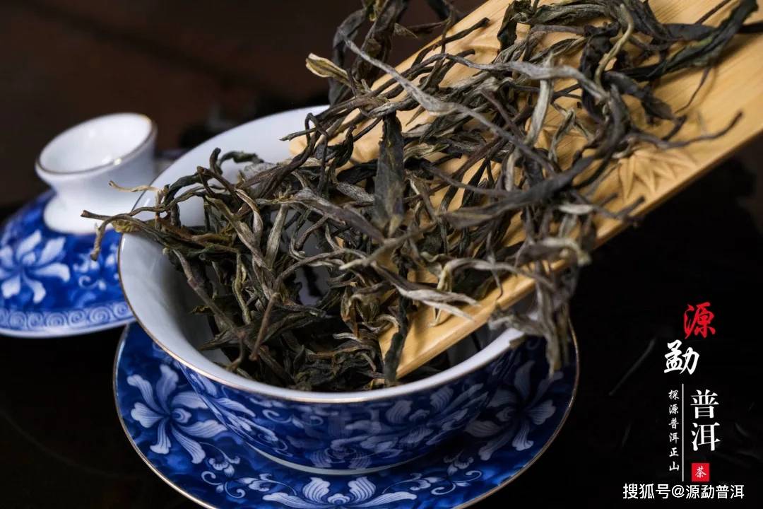 泡普洱茶碎沫