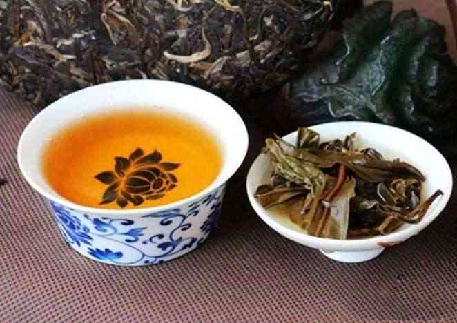 新普洱茶的两种分类：生茶与熟茶，你真的了解吗？