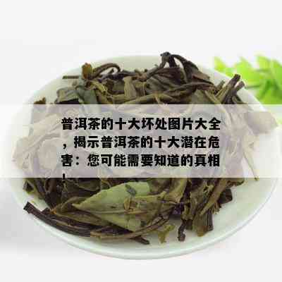 讨论普洱茶片