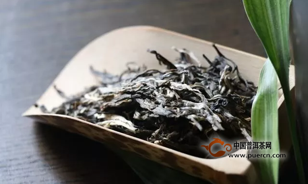 讨论普洱茶片