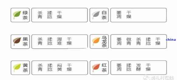 大雅风茶：品茗之道、种类与功效全面解析，助您成为专业茶友