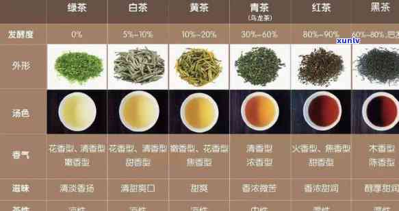 大雅风茶：品茗之道、种类与功效全面解析，助您成为专业茶友