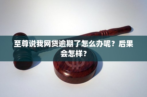 网贷逾期6天了怎么办？会有什么后果？怎么处理？