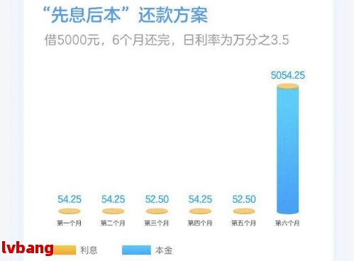 借呗与其他网贷的区别：详细解析与对比