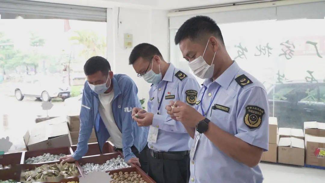 普洱茶市场整顿行动：雷霆扫荡，净化茶叶生态