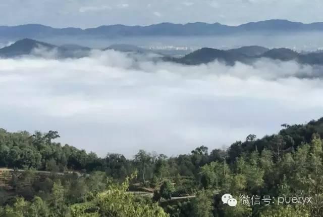 黄龙山普洱：探索云南古茶文化与自然风光的完美结合