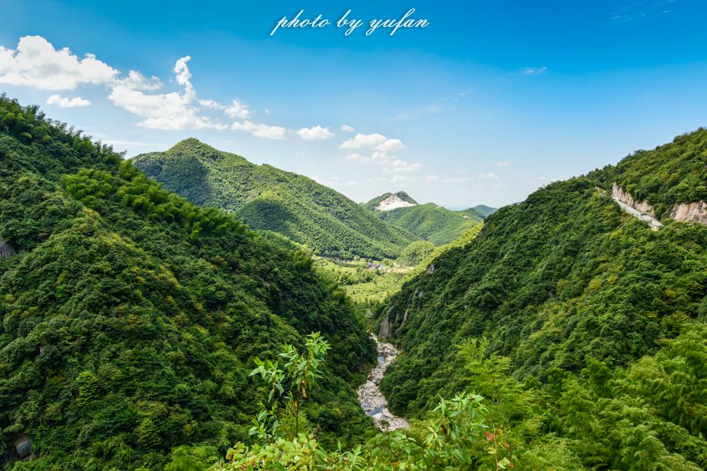 郴州精选普洱茶叶专营店，纯正古树茶香，专业泡茶体验