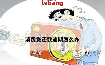 已实高消费限制情况下，如何协商调整还款计划并避免逾期？