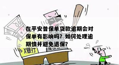 保单贷款逾期后归还，再次贷款的可行性及相关注意事项