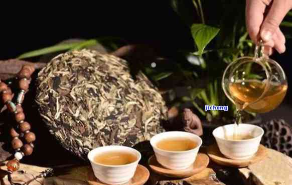 普洱茶藏概述怎么写：探讨普洱茶保存的关键因素与方法