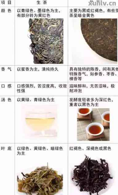 新 '熟化过程中的普洱茶与生普洱茶：制作工艺、口感与健效益的详细比较'