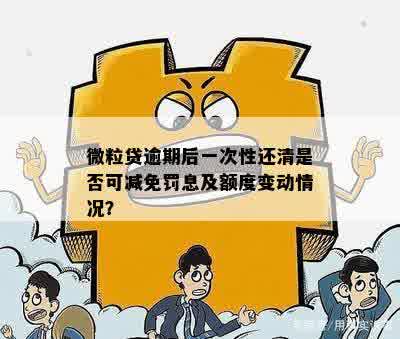 微粒贷逾期减免政策详解：如何享受这一优？