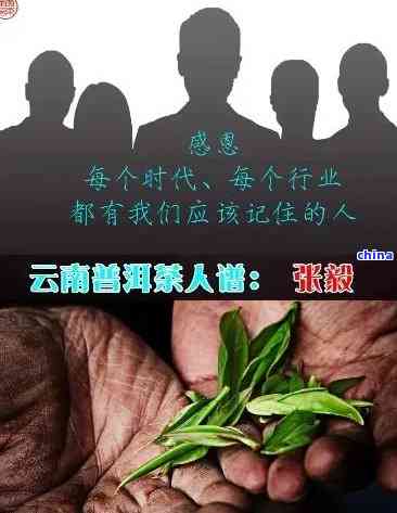 普洱茶传人：揭秘普洱茶传奇人物与，探究普洱茶名字的由来