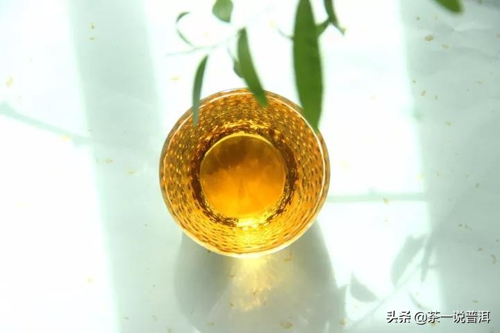 普洱茶品鉴与评级：深入了解茶叶品质的奥秘