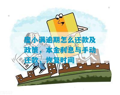 度小满借款还款规则：可随时还款，支持分期，仅还本金