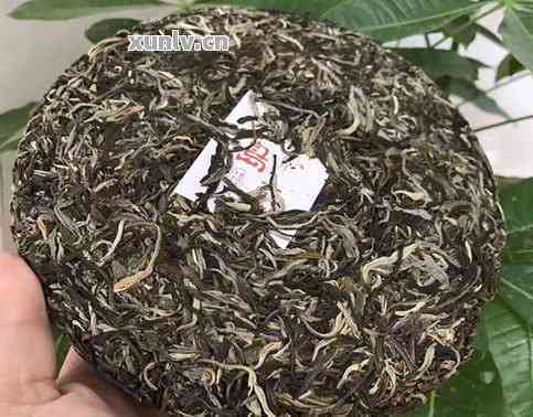 冰岛普洱新茶好还是老茶好：口感与年份哪个更重要？