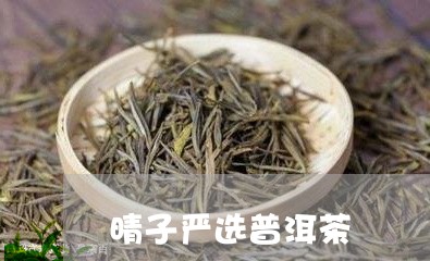 勐海普洱茶晴子