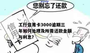 信用卡欠款3000元，逾期2年还款总额及相关费用全面解析