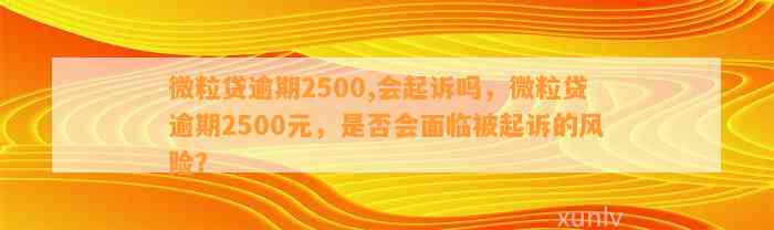 微粒贷逾期2500元是否会导致起诉：探讨可能性及应对策略