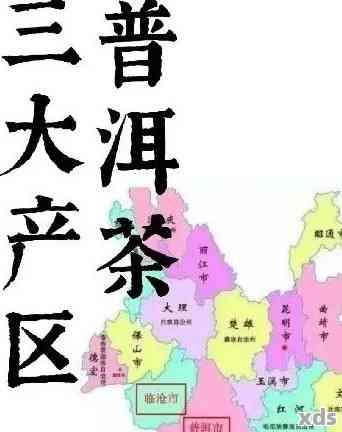 普洱东北茶区的位置、特色及相关存方法