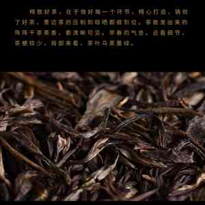 正年间普洱茶：千年古树与精制茶技艺的完美结合